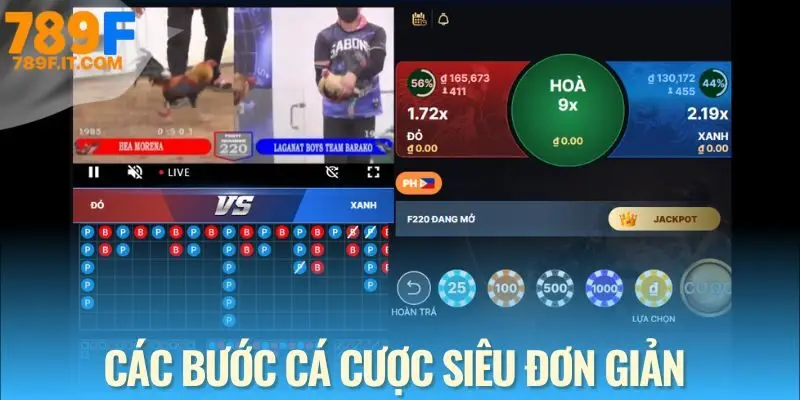 Từng bước đặt cược đá gà 789F thông minh và theo dõi kết quả